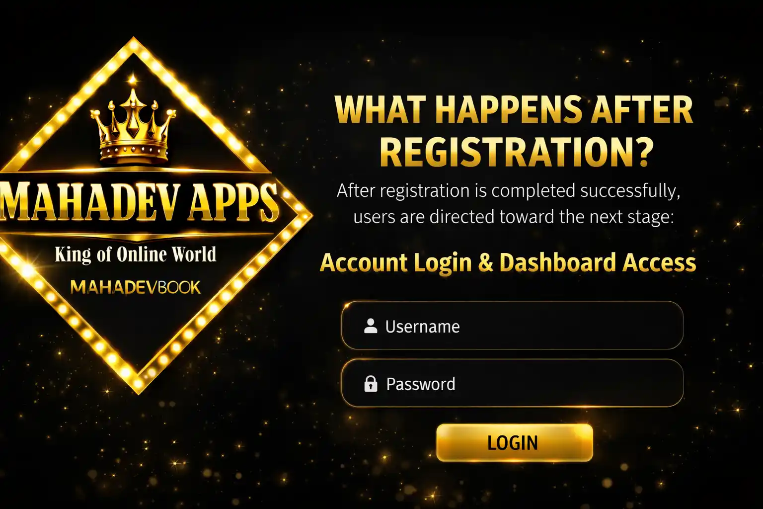 What Happens After Registration